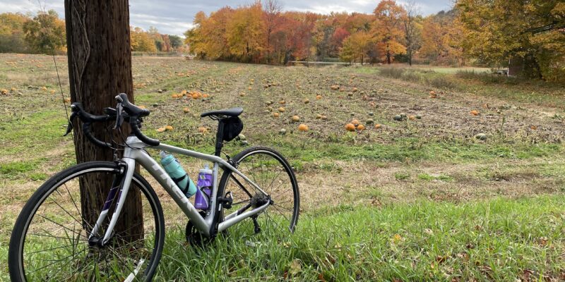 Bike and pumpkins